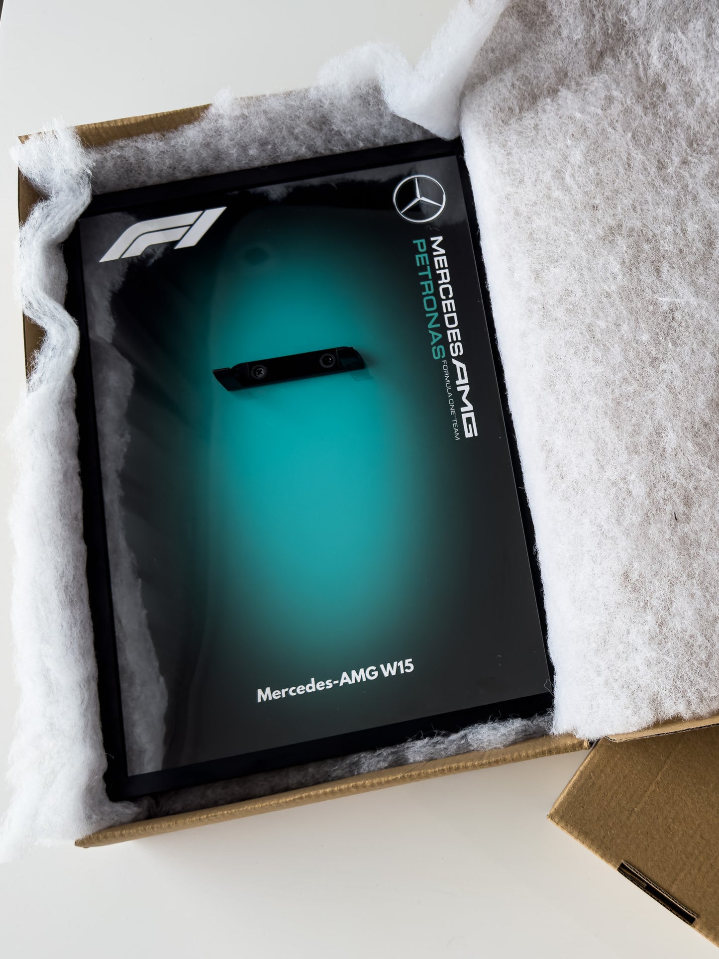 DisplayFrame F1 Mercedes Petronas AMG W15 21x30cm