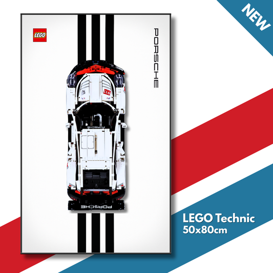 DisplayFrame Porsche 911 RSR 50x80cm