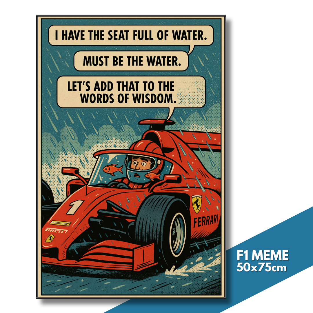 Aluminum Frame F1 Mercedes Petronas AMG 50x80cm