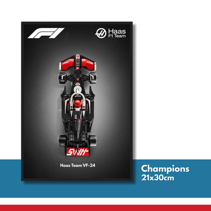 DisplayFrame F1 MoneyGram Haas Team 21x30cm